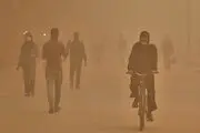 تب مهاجرت بالا گرفت