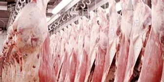 تولید ۲۵ هزار تن گوشت قرمز در بنیاد برکت
