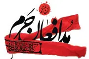 دلخور می شوم وقتی می گویند کار مدافعین حرم بیهوده بوده است