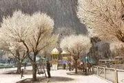 پاکسازی معابر اصلی و بزرگراه های پایتخت در اولویت برف روبی 