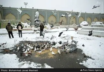 uqvgA8sZt7BK