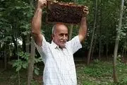 مرد گیلانی که زنبورها او را نیش نمی‌زنند + عکس