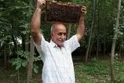 مرد گیلانی که زنبورها او را نیش نمی‌زنند + عکس