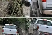 حمله خرس به خودروی محیط بانان/ عکس