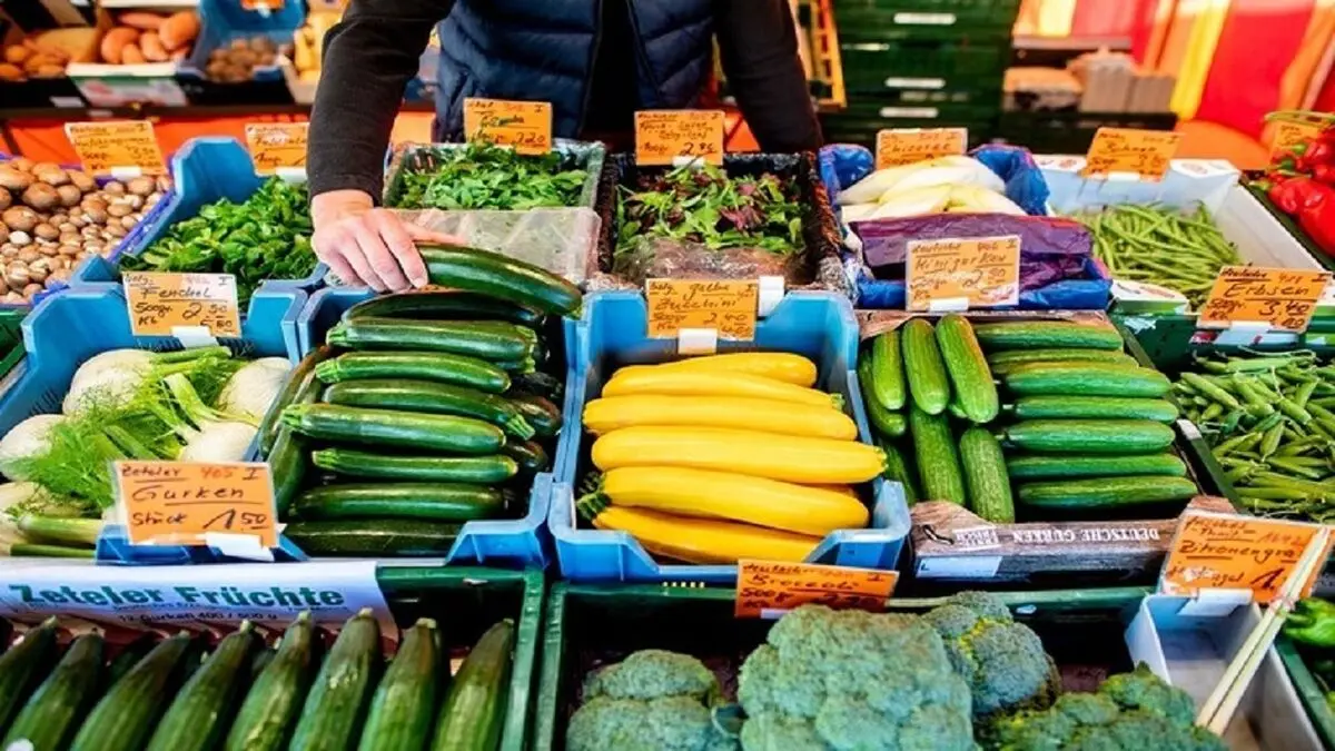 مصرف کدو برای کدام بیماران خطرناک است؟
