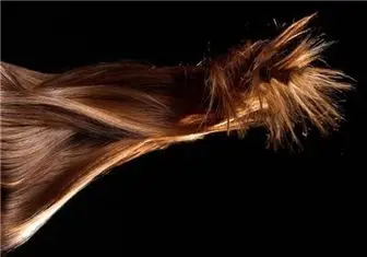 افزایش سرعت رشد مو با این ۳ عصاره