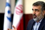 کمالوندی: ذخایر اورانیوم ۲۰ درصد ایران به ۵۵ کیلوگرم رسید