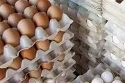 قیمت تخم مرغ امروز ۱۷ بهمن ۱۴۰۲ چقدر شد؟