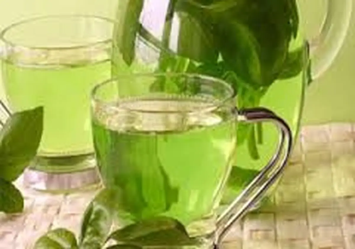 چای سبز را چه زمان و چگونه بنوشیم تا لاغر شویم؟