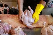 تولید ماهانه مرغ از ۲۰۰ هزارتن فراتر رفت

