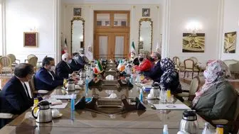 دیدار و گفت‌وگوی وزرای امور خارجه ایران و ایرلند