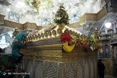 گل آرایی ضریح مطهر حضرت معصومه(س)/ گزارش تصویری 