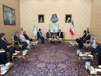 دیدار امیرآبادی با رئیس گروه دوستی پارلمانی پاکستان و ایران