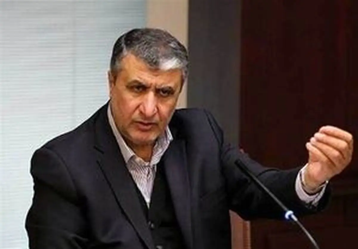 
رئیس سازمان انرژی اتمی ایران وارد وین شد
