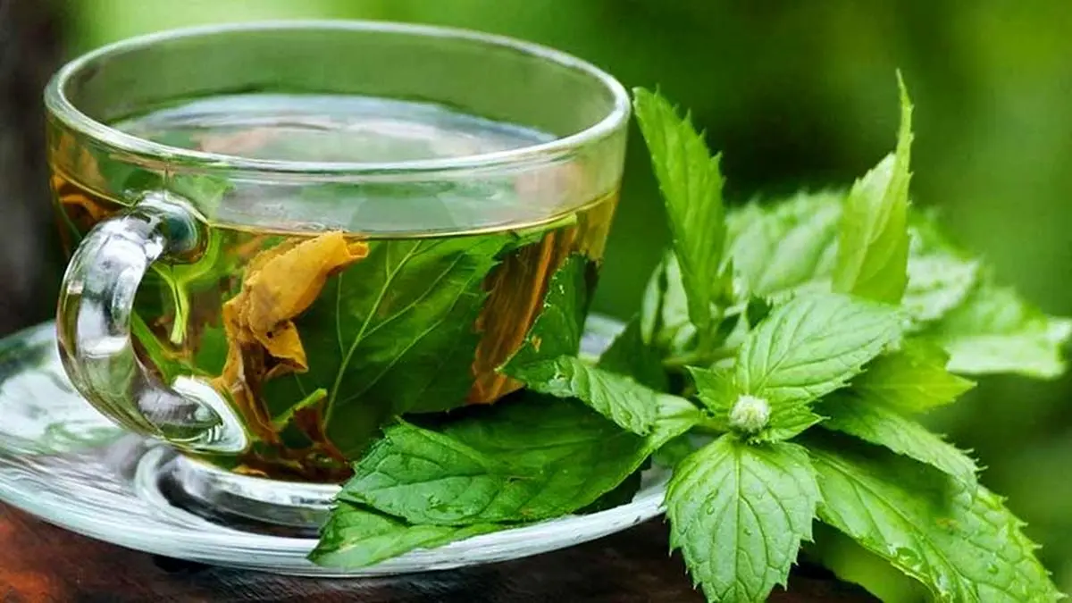 فواید باورنکردنی گزنه برای سلامتی