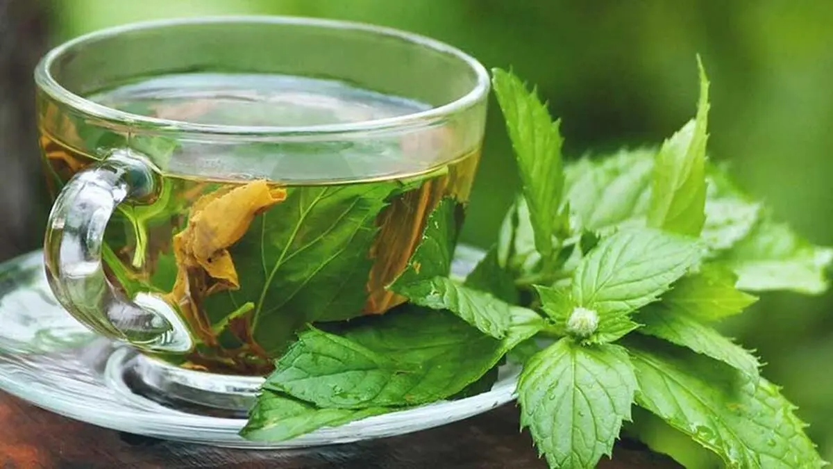 فواید باورنکردنی گزنه برای سلامتی