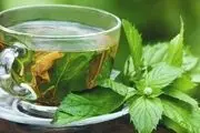 فواید باورنکردنی گزنه برای سلامتی