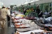 سندی دیگر بر بی کفایتی آل سعود/ ۲۳۹ حاجی در مراسم حج مسال جان خود را از دست دادند