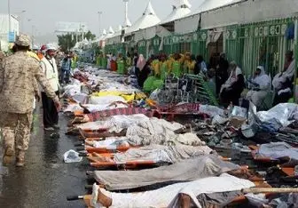 سندی دیگر بر بی کفایتی آل سعود/ ۲۳۹ حاجی در مراسم حج مسال جان خود را از دست دادند