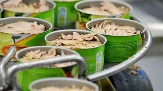 قیمت چند نشان تجاری تن ماهی در بازار
