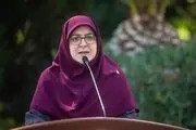 واکنش دولت به شایعه جمع آوری دیش‌های ماهواره
