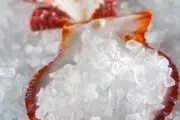 با این ۸ گزینه غذایی از فقر ید در بدن پیشگیری کنید