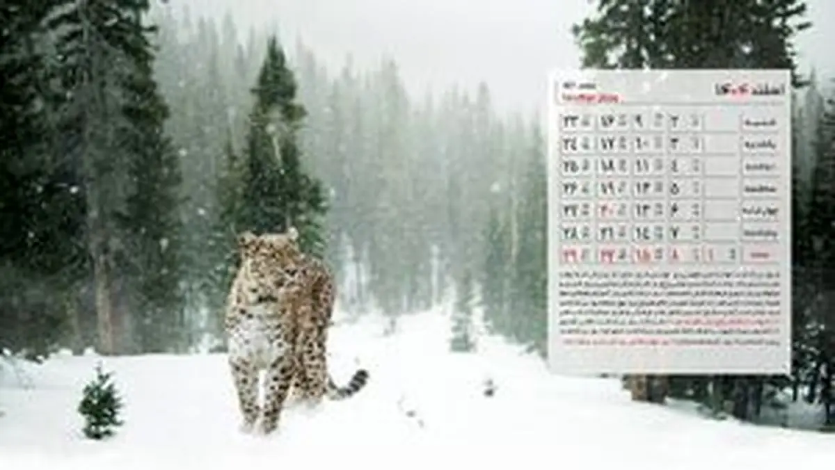 تقویم اسفند ۱۴۰۴ ؛ اسفند چند روز تعطیلی داریم؟
