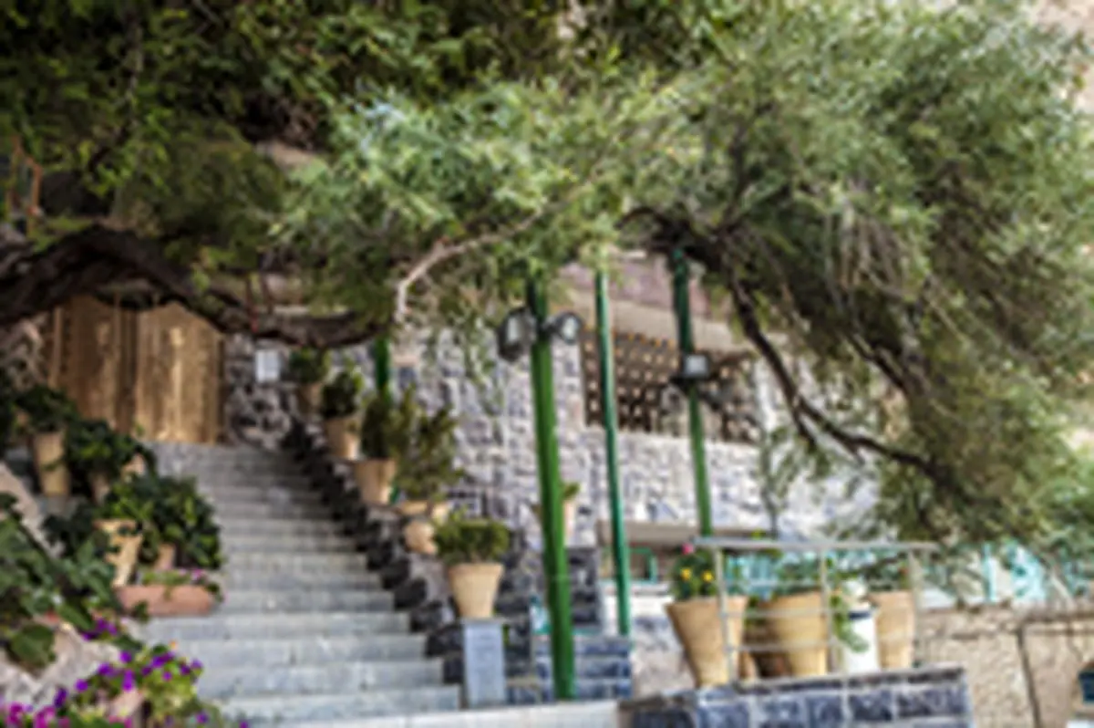 چک چک اردکان در انتظار ثبت جهانی