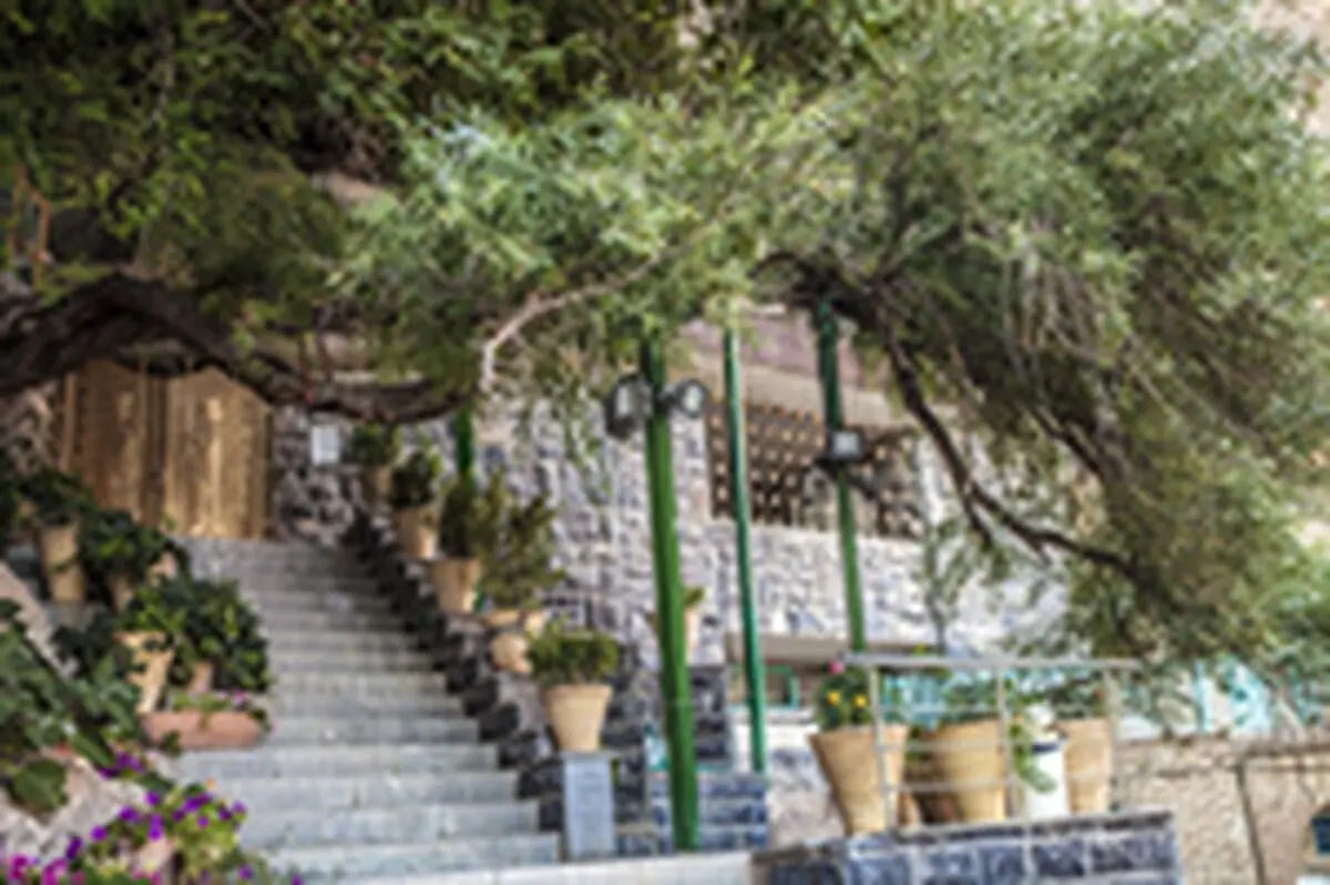 چک چک اردکان در انتظار ثبت جهانی