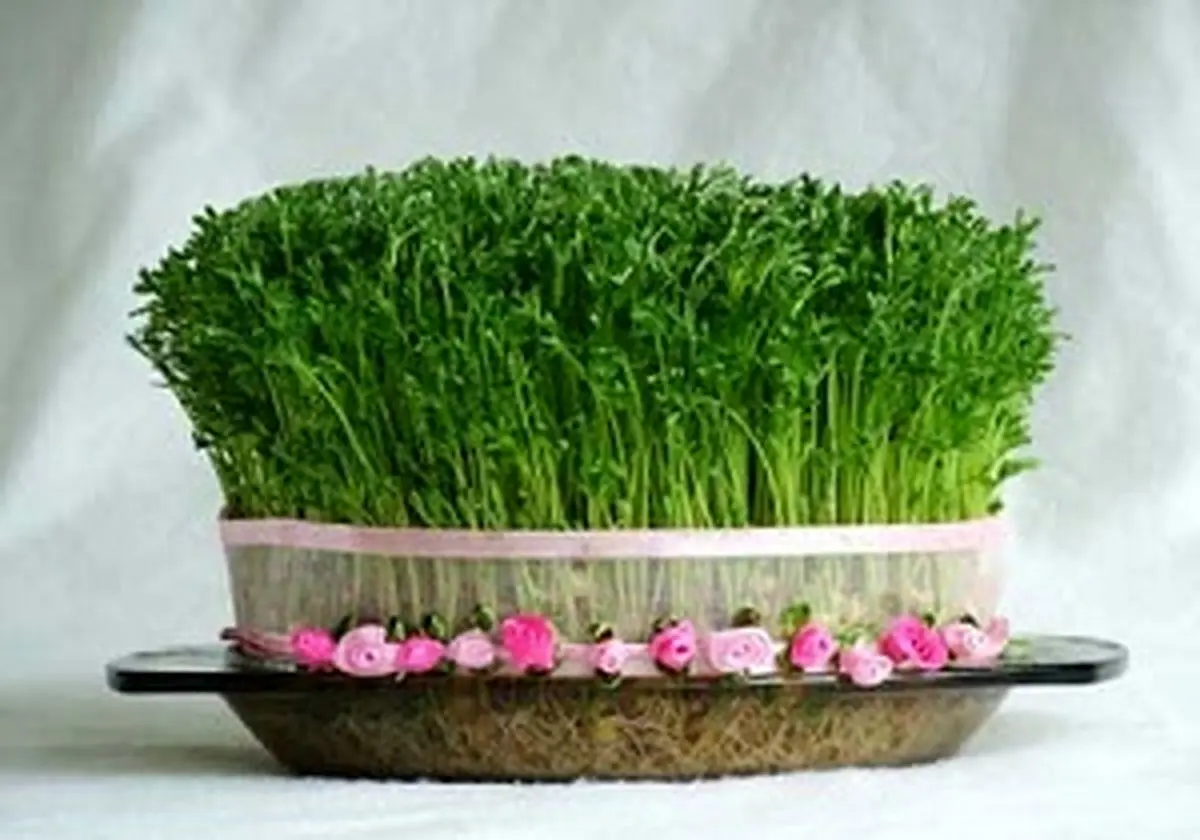 سبزههایی که برای سلامت بسیار مفید است