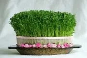 خواص شگفت‌انگیز سبزه عید!