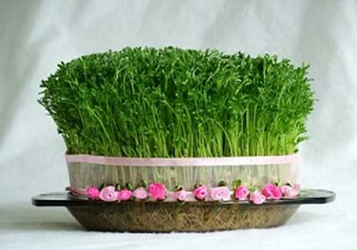 سبزه‌هایی که برای سلامت بسیار مفید است