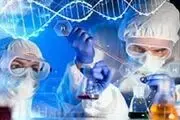 موفقیت بانوی نخبه در ساخت دستگاه لیزر فیبری
