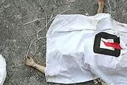قاتل خاموش جان جوان 21 ساله را در ماکو گرفت 