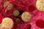 درمان های خانگی برای کاهش چربی خون | چگونه کلسترول بد را کاهش دهیم؟
