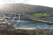 پرورش ماهی قزل آلا در دیزما سیه بنوئیه رابر