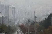 کاهش عوارض ناشی از آلودگی هوا با تغذیه مناسب