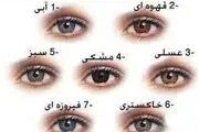 ١٠ خوراکی، که ٢ ماهه رنگ چشمانتان را تغییر می‌دهند!