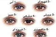 ١٠ خوراکی، که ٢ ماهه رنگ چشمانتان را تغییر می‌دهند!