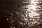 راه‌افتادن خوشمزه‌ترین سیل جهان در یک بزرگراه /فیلم
