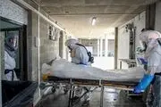  افزایش مراجعه بیماران کرونا به مراکز درمانی در برخی شهرها