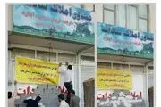برخورد قاطع با شهروند شیرازی که یک درخت را قطع کرد/ عکس