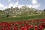 طبیعت ارسباران/ گزارش تصویری