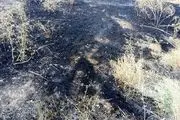۵۰ هکتار از اراضی پلدختر در آتش سوخت
