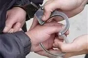 
دستگیری سارق دوربین های مداربسته
