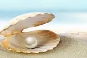 بزرگترین مروارید دنیا/ عکس