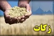 ۸۰ درصد زکات آذربایجان غربی به نیازمندان استان پرداخت
می‌شود
