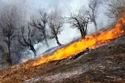پایان ۳ روز آتش سوزی در جنگل‌های ایوان 