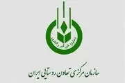 عرضه میوه شب عید و خرما ۲۰ درصد پایین‌تر از نرخ بازار