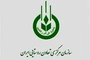 عرضه میوه شب عید و خرما ۲۰ درصد پایین‌تر از نرخ بازار